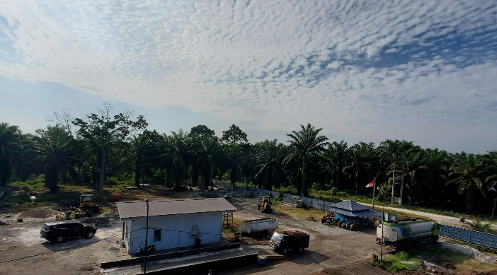 Как повысить экстракцию пальмового масла на 8–15% и снизить его потери на 29–36%