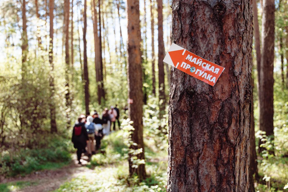Майская прогулка 2025