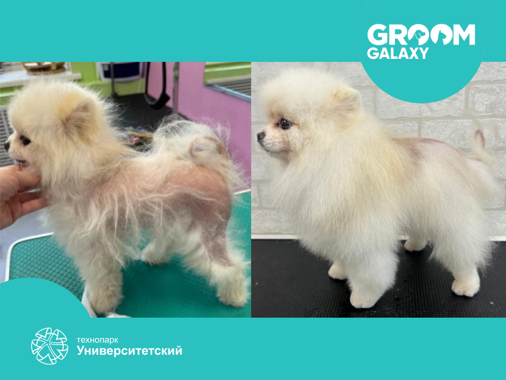 Ряды участников «Сколково» пополняются!