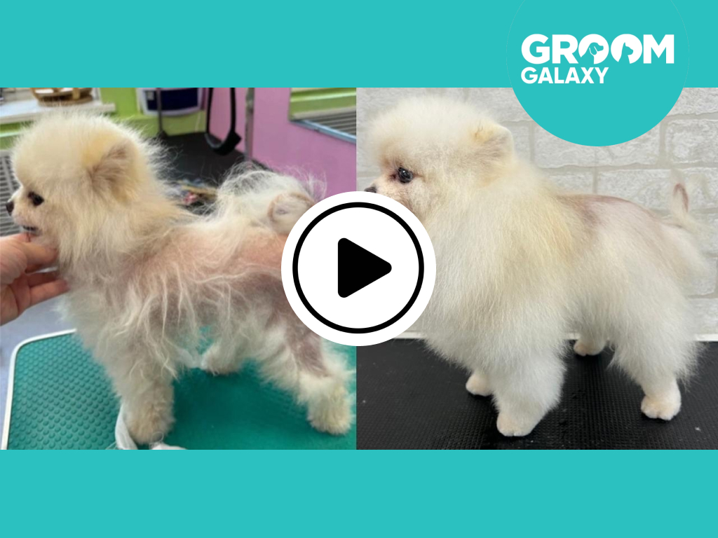 Slide 4_3 - 14 (1).jpg