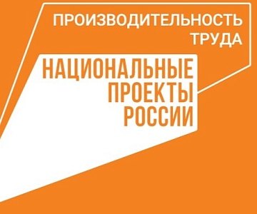 Реализация проекта «Производительность труда»