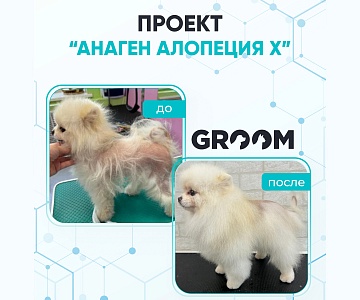 Новый участник проекта «Сколково» в Свердловской области